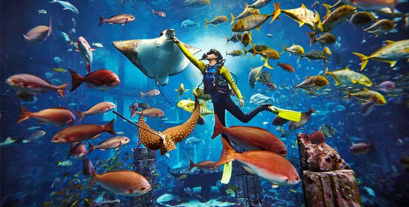 Scuba Diving Tour Dubai